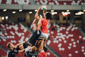 世界飞盘狗锦标赛 狗狗腾空接盘与主人配合默契获得高分