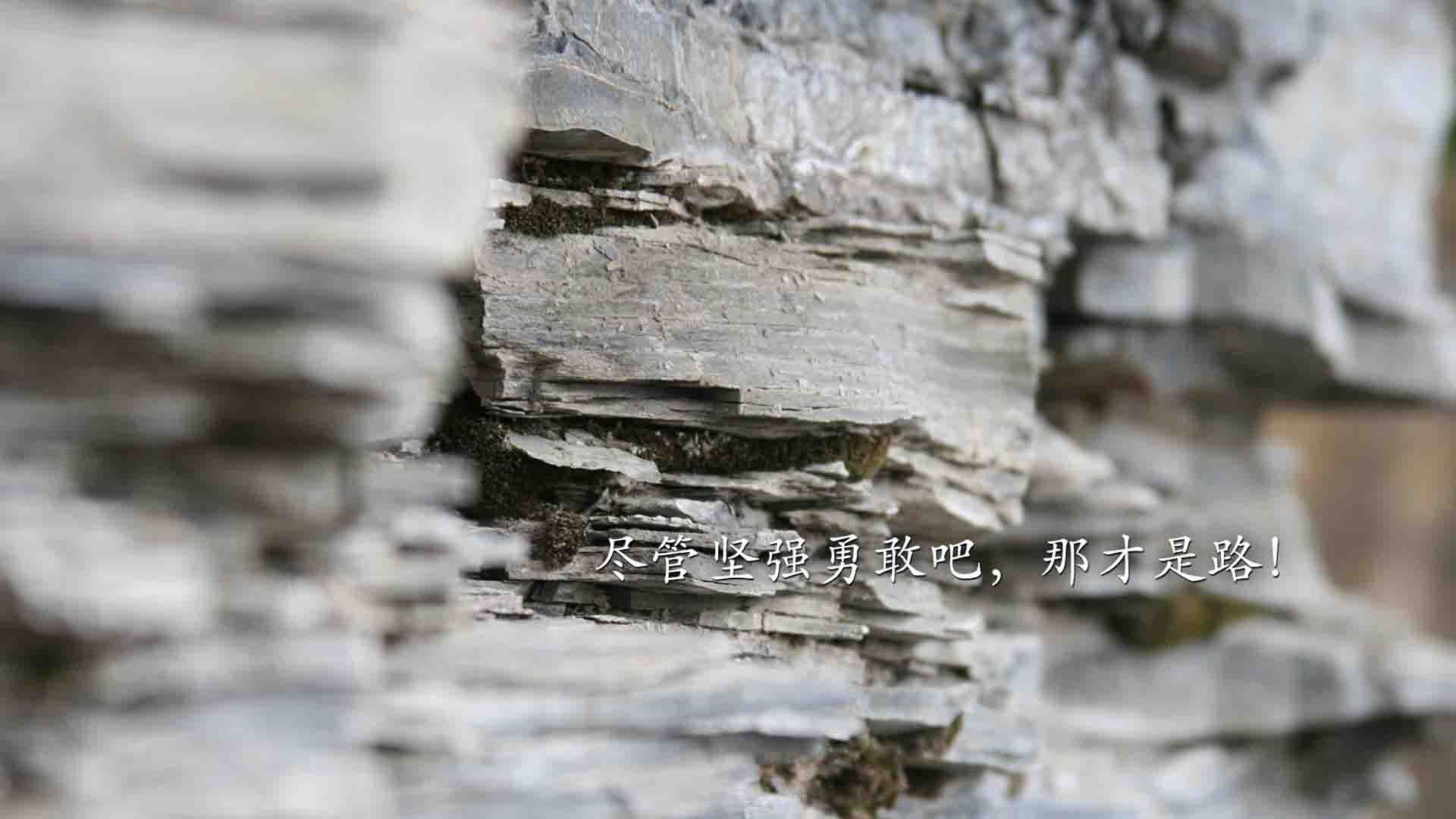 leyu乐鱼官网登录入口-体育赛事观众互动体验优化，在体育赛事采访中如何充分使用体育赛事媒体服务