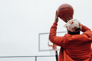 Leyu Sport登录入口-篮球运动员专项技能提升路径与训练方法，篮球运动员的训练项目