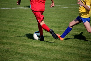 LEYU乐鱼体育官方网站-“拳王争霸：四川省体育馆拳击赛将诞生新的世界拳王”