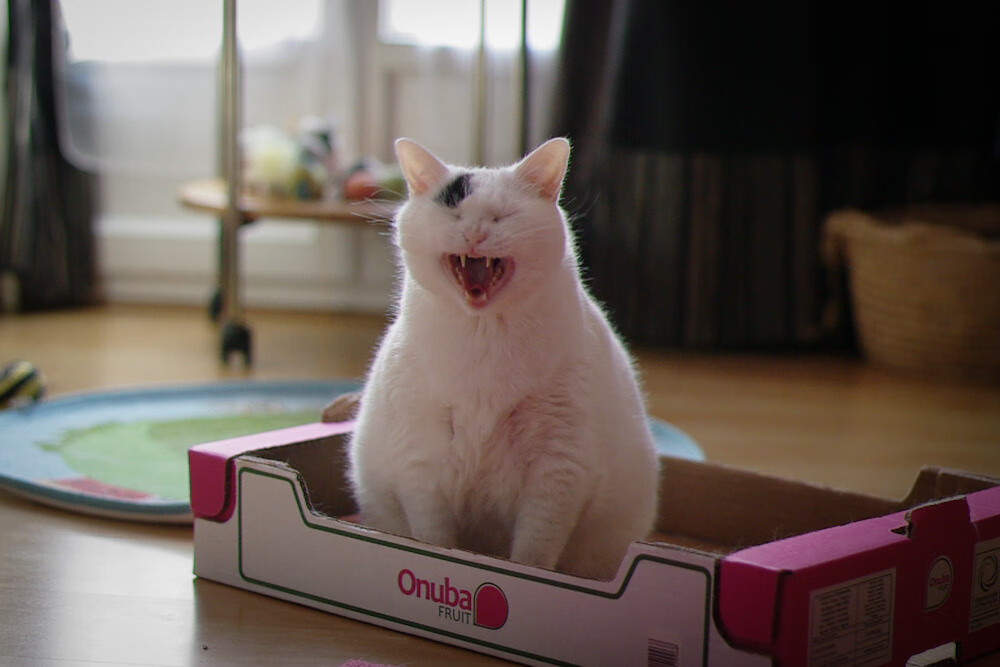 Leyu Sports (乐鱼体育)-中超俱乐部引进新援增强实力，中超俱乐部外援有限制吗