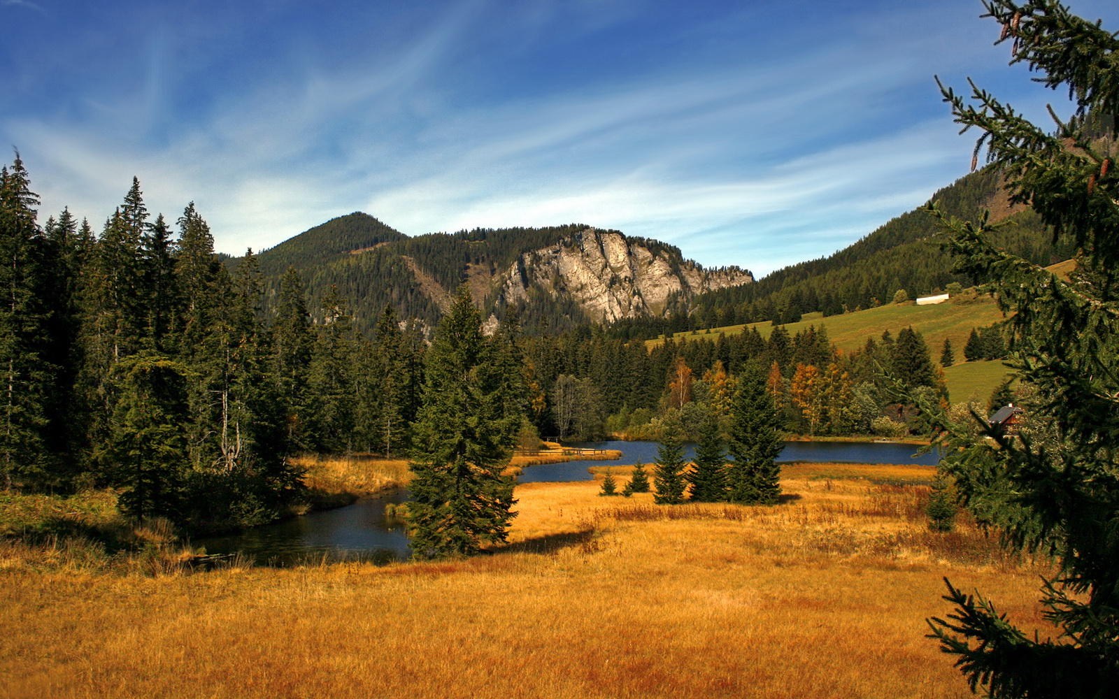 五大联赛门将扑救风格是否因战术演化而改变,门将十大扑救