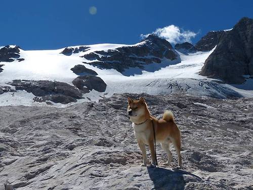 乐鱼电竞-冬奥训练加入体温调节实验性项目，冬奥会 训练