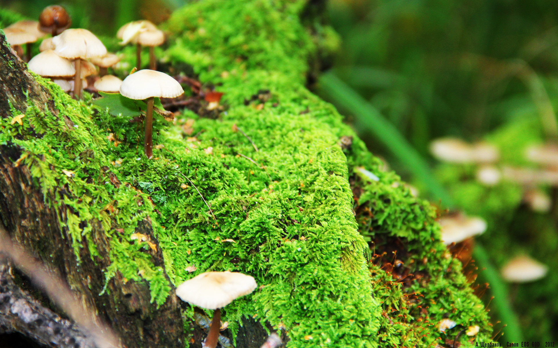 冬奥训练加入体温调节实验性项目,冬奥会 训练