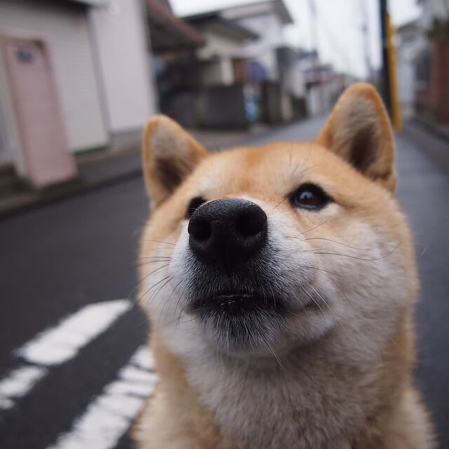 比赛节奏是否与比赛观赏性存在直接联系,比赛分为三个环节