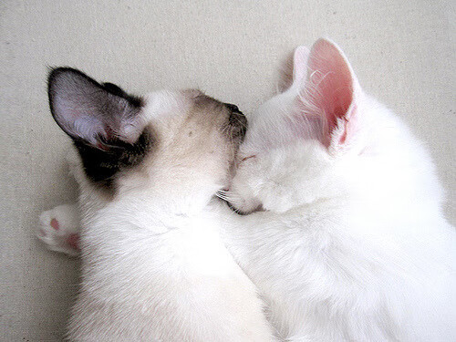 观众互动体验创新增强赛事吸引力，观众互动游戏有哪些