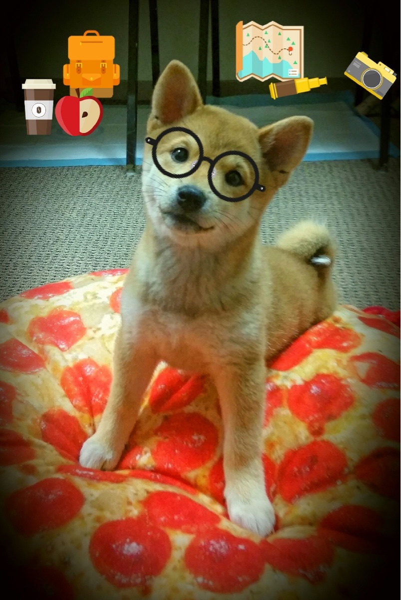 卡普尔的强力冲刺与快速决策,带领袋鼠队压制对方反击,卡普尔ms