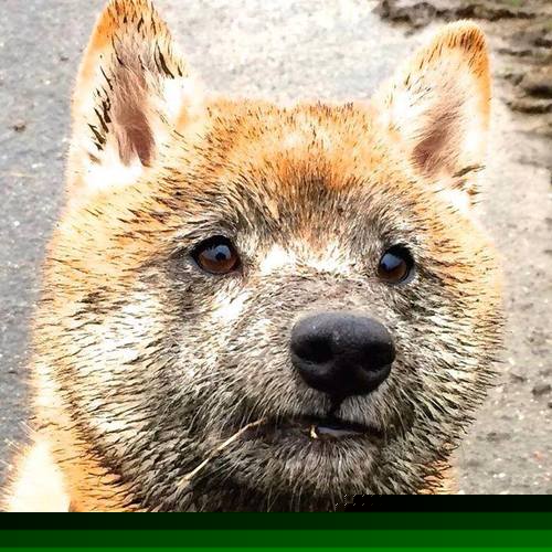 乐鱼体育平台app下载-网球明星退役引发粉丝怀念，网球退役运动员